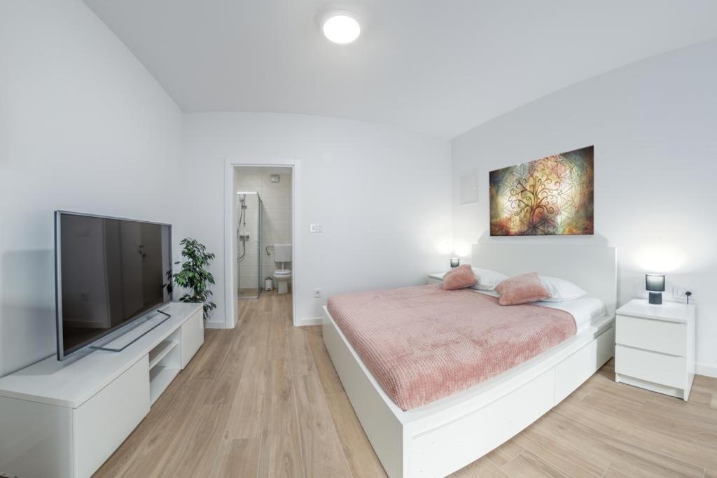 Apartment Klara Free Parking, Center Póla Kültér fotó